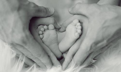 Prestazioni Materno Infantile